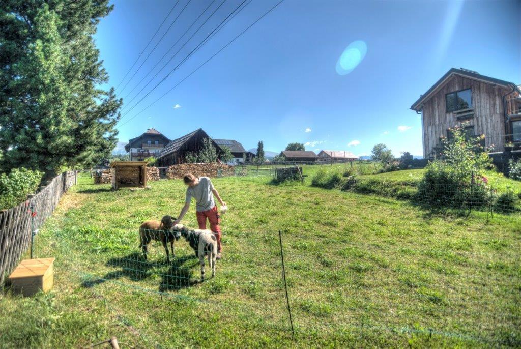 Gaestehaus Schwaiger マリアプファル エクステリア 写真